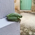 La Camiranaise Maison d'hôtes