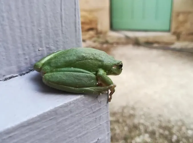 La Camiranaise Affittacamere